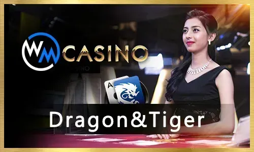 The Rise of Mobile Esports Betting: 90jili App Review